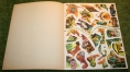 capt scar sticker book cs8 (3)
