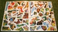 capt scar sticker book cs8 (5)