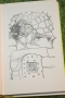 Catweazle Hardback Zodiac (3)