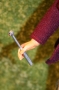 tom-baker-doll-14