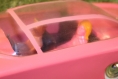 tbirds-fab-1-cent-21-friction-12