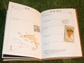 indiana jones diary (2)