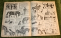 Look in 1980 no 26 (9)