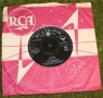 monkees pleasent vally sunday