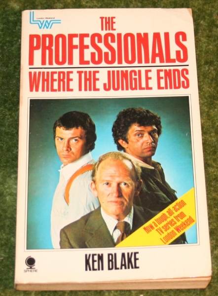 professionals paperback 1