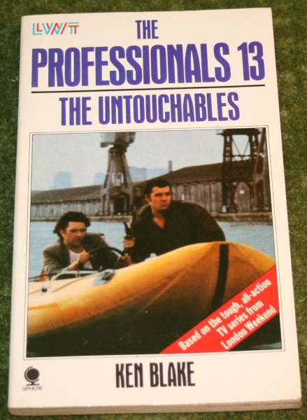 professionals paperback 13