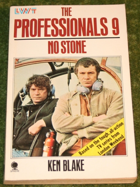 professionals paperback 9