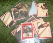 Temple of Doom Gum Cards (6)